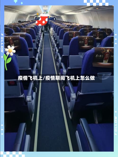 疫情飞机上/疫情期间飞机上怎么做-第3张图片