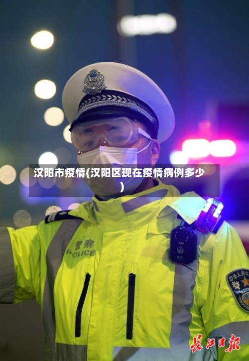 汉阳市疫情(汉阳区现在疫情病例多少)