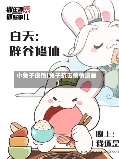 小兔子疫情(兔子抗击疫情漫画)-第2张图片