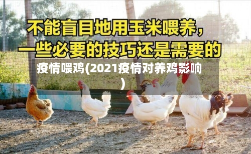 疫情喂鸡(2021疫情对养鸡影响)-第2张图片