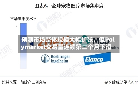 预测市场整体规模大幅扩张，但Polymarket交易量连续第二个月下滑-第2张图片