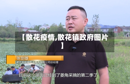 【散花疫情,散花镇政府图片】