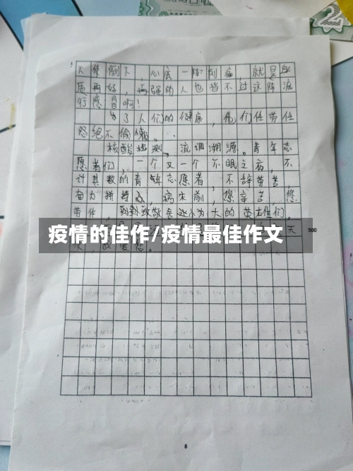 疫情的佳作/疫情最佳作文