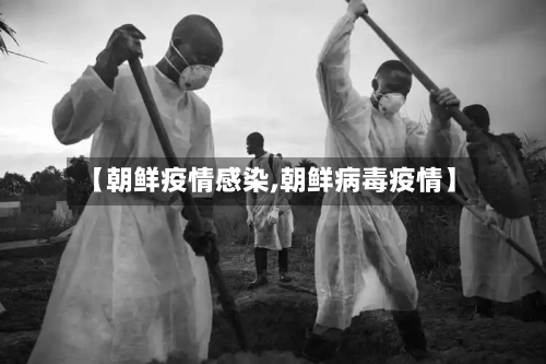 【朝鲜疫情感染,朝鲜病毒疫情】