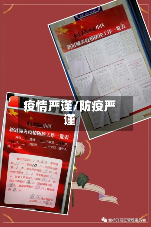 疫情严谨/防疫严谨-第3张图片