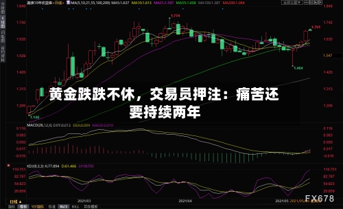黄金跌跌不休	，交易员押注：痛苦还要持续两年-第3张图片