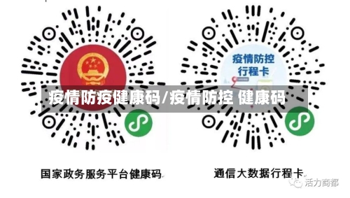 疫情防疫健康码/疫情防控 健康码