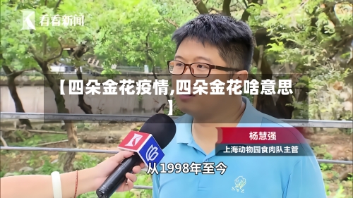 【四朵金花疫情,四朵金花啥意思】-第3张图片