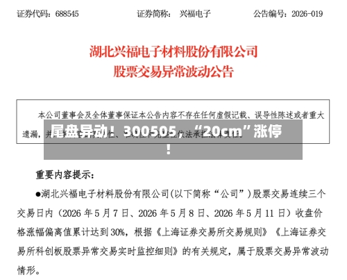 尾盘异动！300505，“20cm	”涨停！-第2张图片