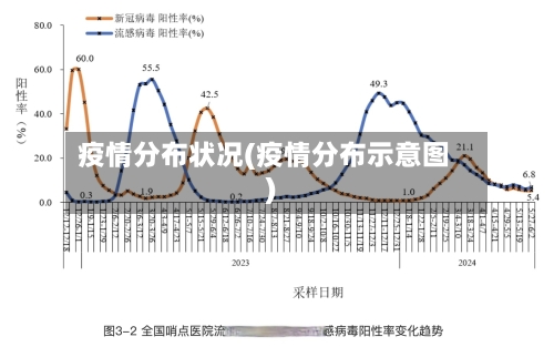 疫情分布状况(疫情分布示意图)